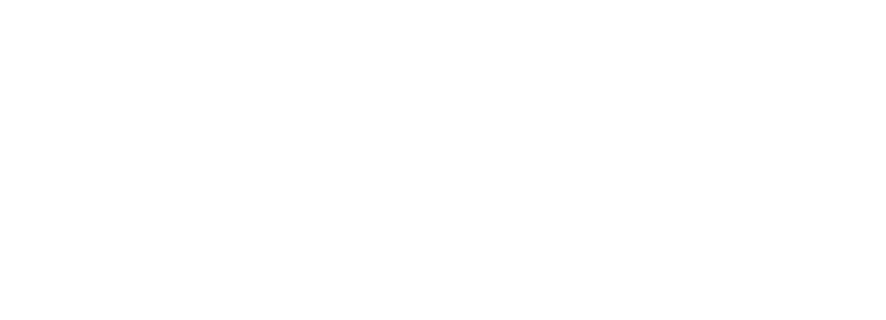 Alternative Solutions PRO